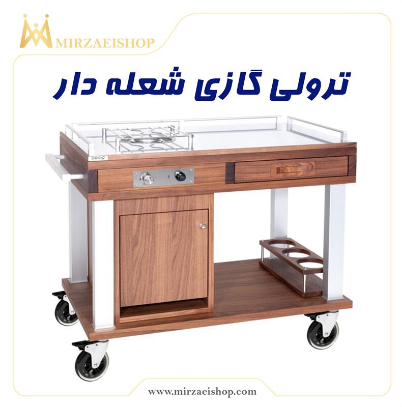 ترولی گازی  دو شعله | خرید و قیمت با گارانتی 2 ساله